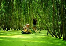 du lịch mien tay